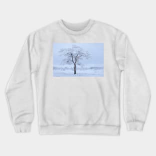 Pine tree covered in hoarfrost Crewneck Sweatshirt